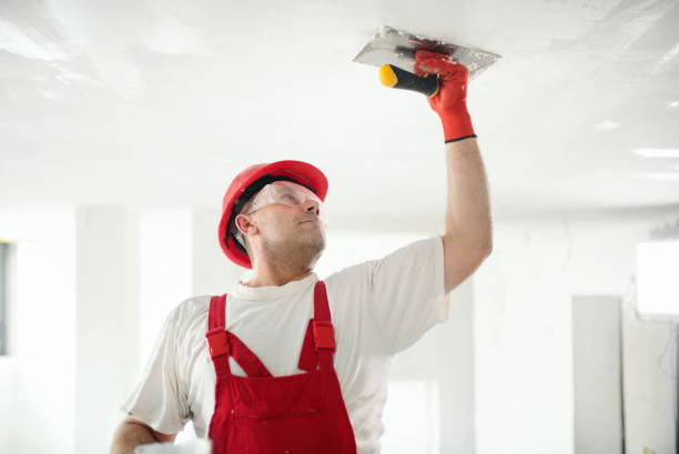 Best Industrial Mold Remediation  in Middleport, OH