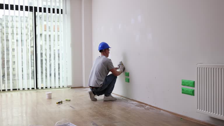 Best Black Mold Removal  in Middleport, OH